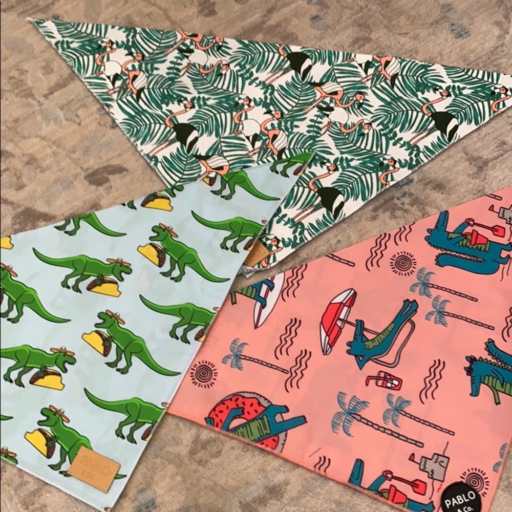 Set of three fun dog bandanas